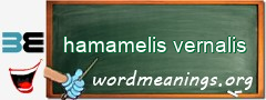 WordMeaning blackboard for hamamelis vernalis